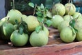 Close-up image of a large green grapefruit, lined with Asian fruits