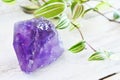 Amethyst Crystal and Lush Green Plant