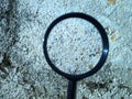 Close up image of magnifying glass or lupe