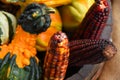 Mini Gourds and Harvest Corn