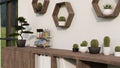 Close-up, Minimal vintage dark wood cabinet with cactus, and seasoning bottles over the white wall