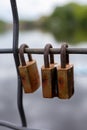 Close-up image of multiple rusty padlocks on a metal fence, symbolizing security, time, and decay.