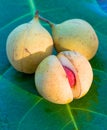 Close up image of nutmeg