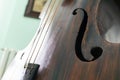 Close-up image of old contrabass Royalty Free Stock Photo