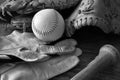 Old Retro Style Baseball Equipment Royalty Free Stock Photo