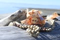 Orgonite Pyramid and Mala Necklace