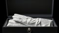 A close up image of a pair of white gloves in a black box, neatly folded and placed. The box has a silver handle and the Royalty Free Stock Photo