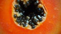 Close up image of papaya seeds