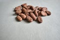 Close-up image of a pile of dry cocoa beans (seeds of the cacao tree) on a rough paper. Royalty Free Stock Photo