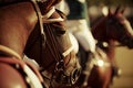 Close-up image of polo horses and ponies in a paddock, saddled up for a game with polo saddles. Generative AI