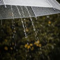 Rain drops falling on umbrella Royalty Free Stock Photo