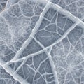 Microscopic view of a cracked crystalline surface with intricate web like patterns Royalty Free Stock Photo