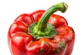 CloseUp of AnthracnoseInfected Bell Pepper Fruit Understanding the Fungal Disease Impact on Yield