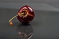 Close up of image of rotten red cherry fruit on reflective black Royalty Free Stock Photo