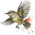 Ruby-crowned kinglet bird. Bird clipart. AI-generated. Royalty Free Stock Photo