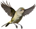 Ruby-crowned kinglet bird. Bird clipart. AI-generated. Royalty Free Stock Photo