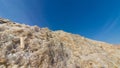 A close-up image of salt crystals on the shore of the Dead Sea,