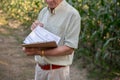 A senior Asian farmer or corn farm owner reading some papers, working in a corn field Royalty Free Stock Photo