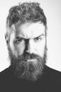 Close-up image of serious brutal bearded man on white background. Confident and dramatic concept.