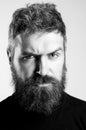 Close-up image of serious brutal bearded man on white background. Confident and dramatic concept.