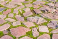 A close-up image showcases rugged granitesimilar stones, exhibiting unique patterns and colors, with patches of moss