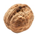 Close-up of a Walnut Shell with Intricate Texture and a Small Crack Royalty Free Stock Photo