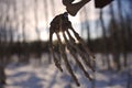 Skeleton Hand Silhouette Royalty Free Stock Photo