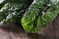 Close up image of silverbeet leaves