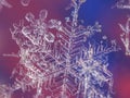 Close-up image of single snow flake on colorful background