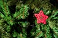 Close-up star-shaped Christmas decoration on tree