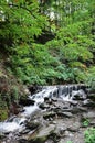 Close-up image of a small wild waterfall in the form of short streams of water between mountain stones Royalty Free Stock Photo