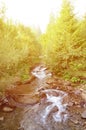 Close-up image of a small wild waterfall in the form of short streams of water between mountain stones Royalty Free Stock Photo