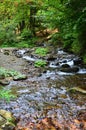 Close-up image of a small wild waterfall in the form of short streams of water between mountain stones Royalty Free Stock Photo