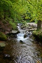 Close-up image of a small wild waterfall in the form of short streams of water between mountain stones Royalty Free Stock Photo