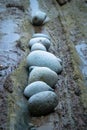A close-up image of smooth, rounded stones naturally aligned in a row on a wet, textured rocky surface.