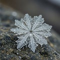 A close-up image of a snowflake displaying its intricate hexagonal pattern and Royalty Free Stock Photo