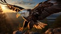 Close up image of a soaring eagle