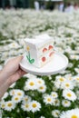 Close up image of strawberry daisy cake on a white plate Royalty Free Stock Photo