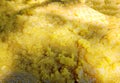 Close-up image of Suji ka halwa Royalty Free Stock Photo