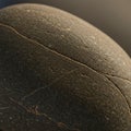 Close-up image of a textured, oval-shaped stone with fine cracks on its surface. The Royalty Free Stock Photo