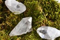 Three Clear Quartz Crystal on Green Moss Royalty Free Stock Photo