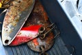 Three Old Rusted Fishing Hooks Royalty Free Stock Photo