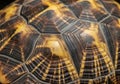 Close-up image of a tortoise shell featuring a geometric pattern of scutes Royalty Free Stock Photo