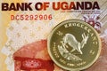 Ugandan 1000 shilling bank note with gold one ounce Krugerrand