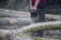 Close-up of an unknown woodcutter sawing tree trunk in motion and sawdust fly to side. Royalty Free Stock Photo