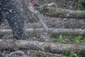 Close-up of an unknown woodcutter sawing tree trunk in motion and sawdust fly to side. Royalty Free Stock Photo