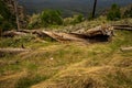 Mogollon Rim Arizona