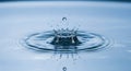 A close-up image of a water droplet creating a crown splash upon impact with the water surface. The Royalty Free Stock Photo