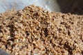 Close up image of wet spent malt grains