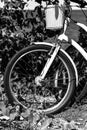 Close-up image of white bicycle front wheel tire and basket on the handle bar Royalty Free Stock Photo